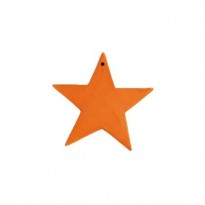 Ceramic star