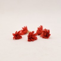 Φούντα Κόκκινη Λουλούδι