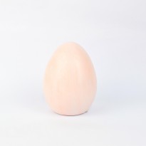 Αυγό 