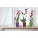 Orchid pot Wenus transparent