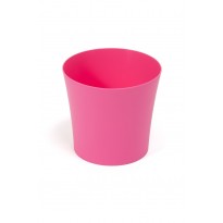 Flowerpot Fiolek fuschia