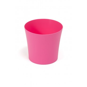 Flowerpot Fiolek fuschia