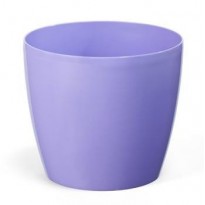 Flowerpot Magnolia purple lila