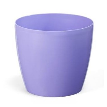 Flowerpot Magnolia purple lila