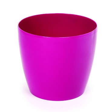 Flowerpot Magnolia fuchsia