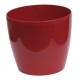 Flowerpot Magnolia red